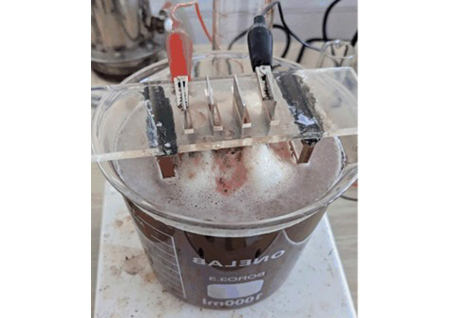 Utilization of electrocoagulation for Pangasius processing, wastewater treatment, and nutrient recovery