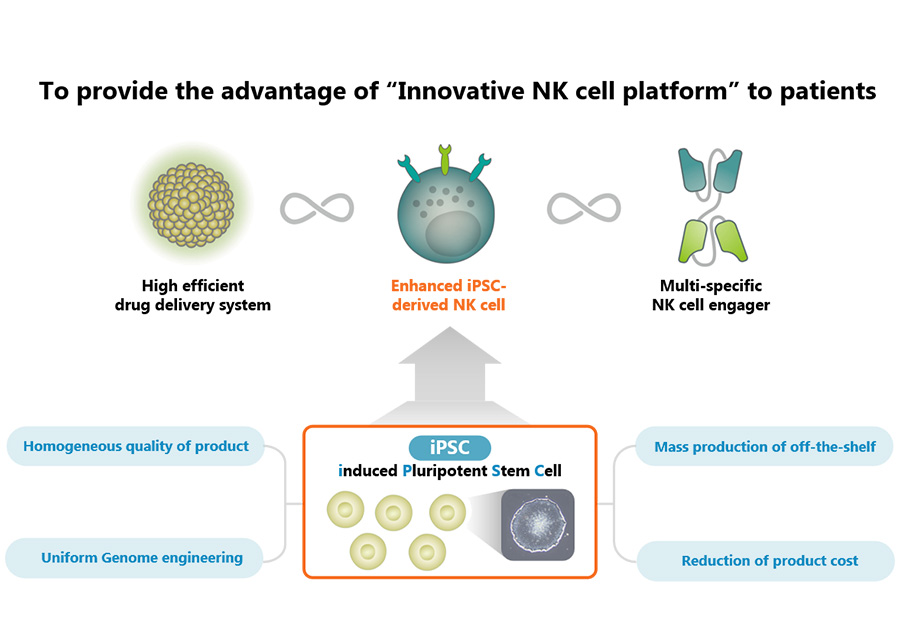CAR遺伝子導入NK細胞によるがん免疫療法の開発