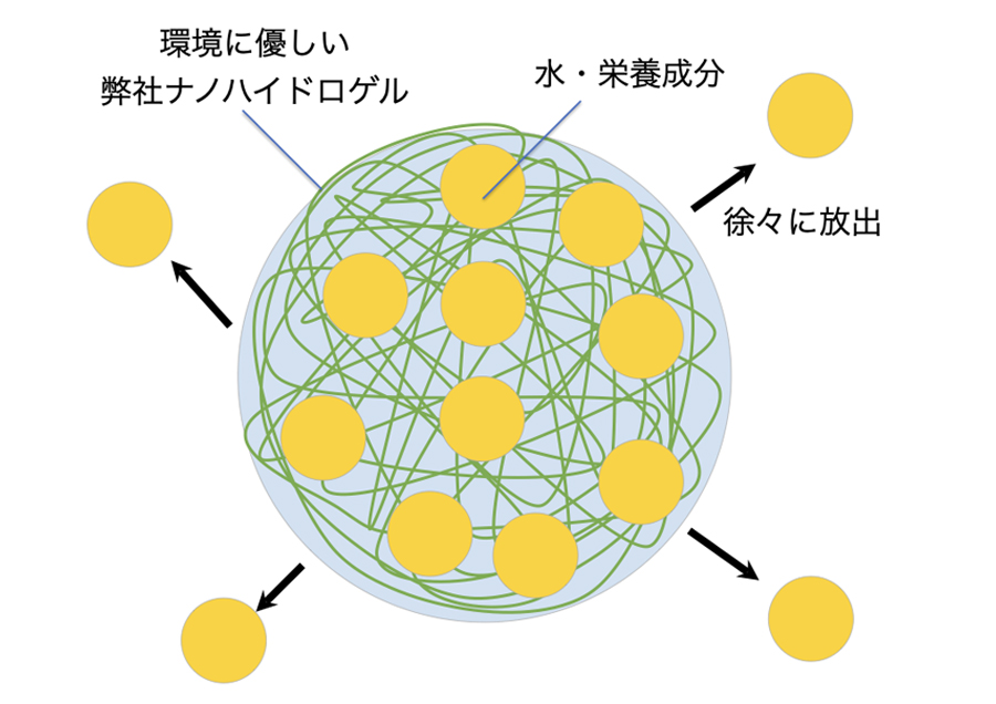 農業を持続可能にする自然由来ナノハイドロゲル技術