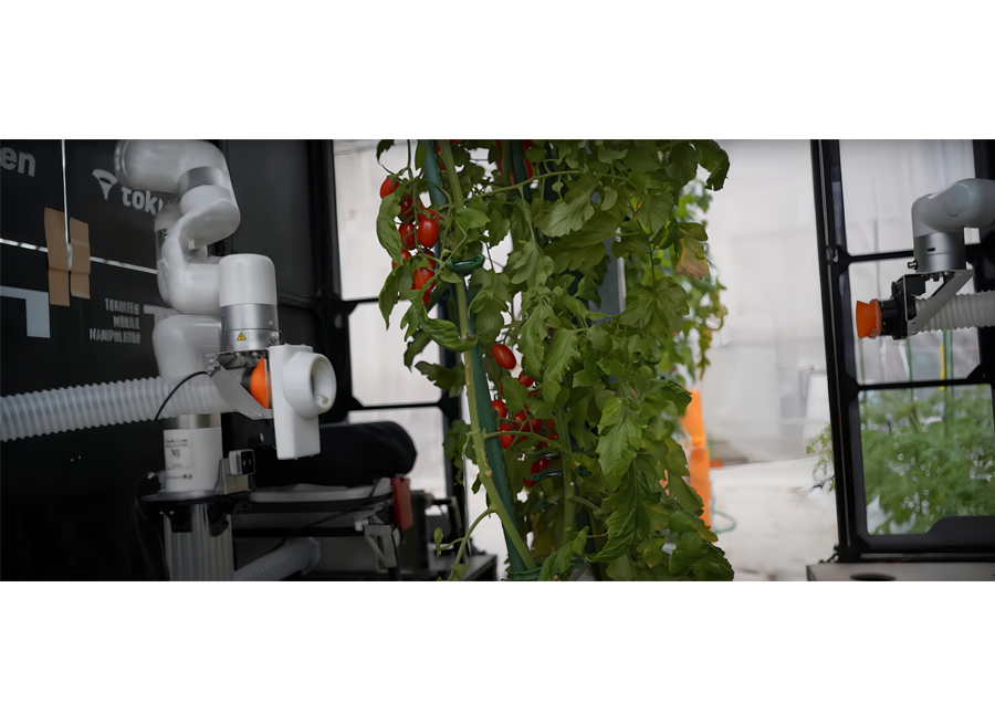 Using Robots and AI to Achieve Sustainable Organic Farming