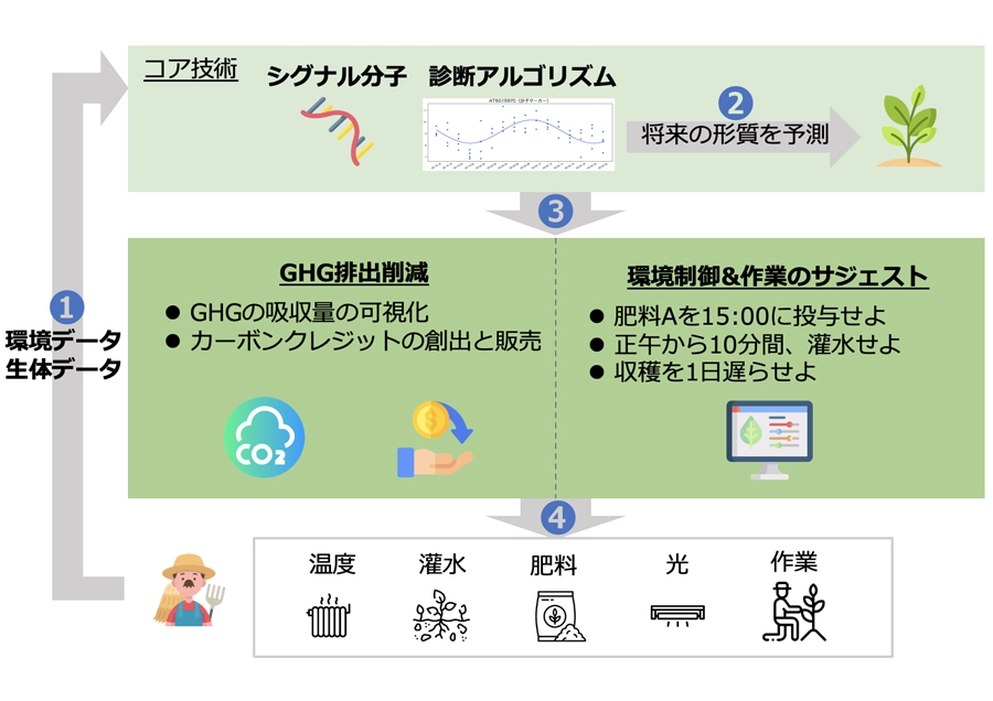 植物のシグナル分子に着目した診断プラットフォーム