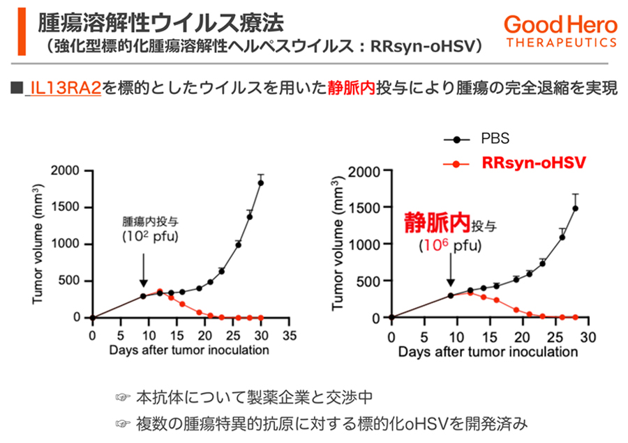 遺伝子治療における革新的モダリティの開発