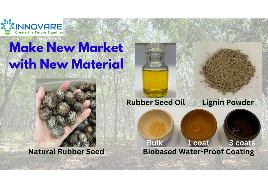 Creation of new bio-based raw materials through practical application of natural rubber seed