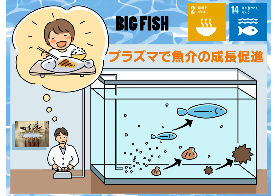 Practical application of plasma-based growth promotion technology for cultured fish