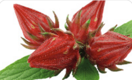 Roselle waste as emerging novel materials for wellness products.