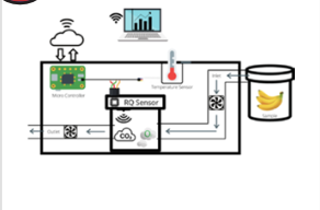 Smart Nanotech-integrated Sensor System for Post-harvest/supply Chain Applications.