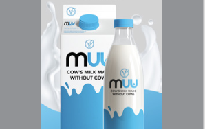 Cow's milk made without cows (Lab-grown milk).