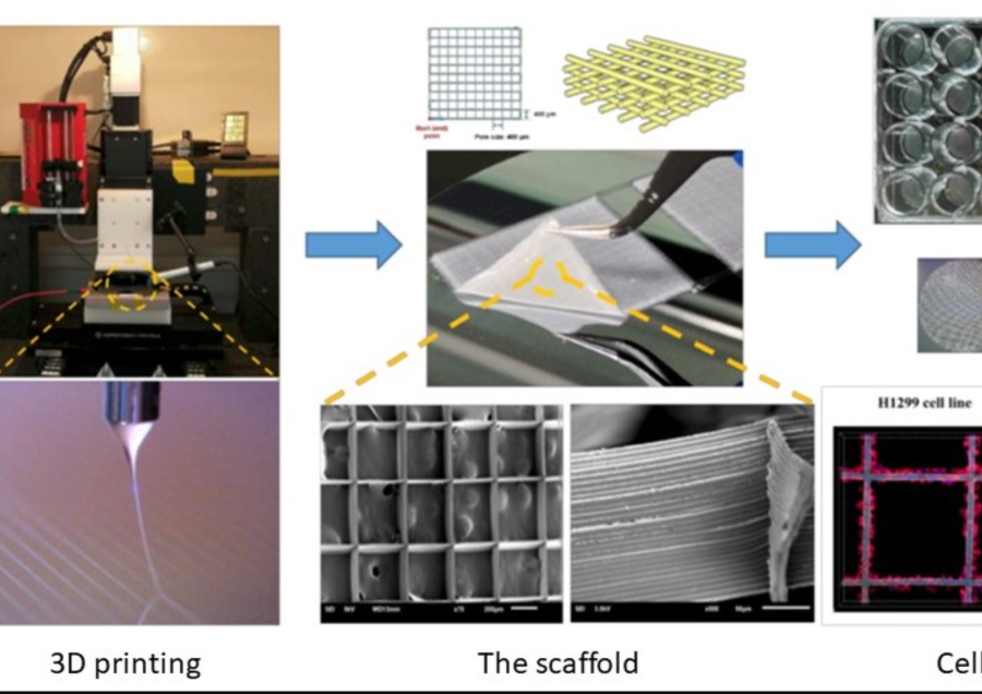 Enables plant based nutraceutical & biomedical product development with better, faster, sustainable plant extraction expertise, plant protein composite bioink formulation and 3D bioprinting technology. 