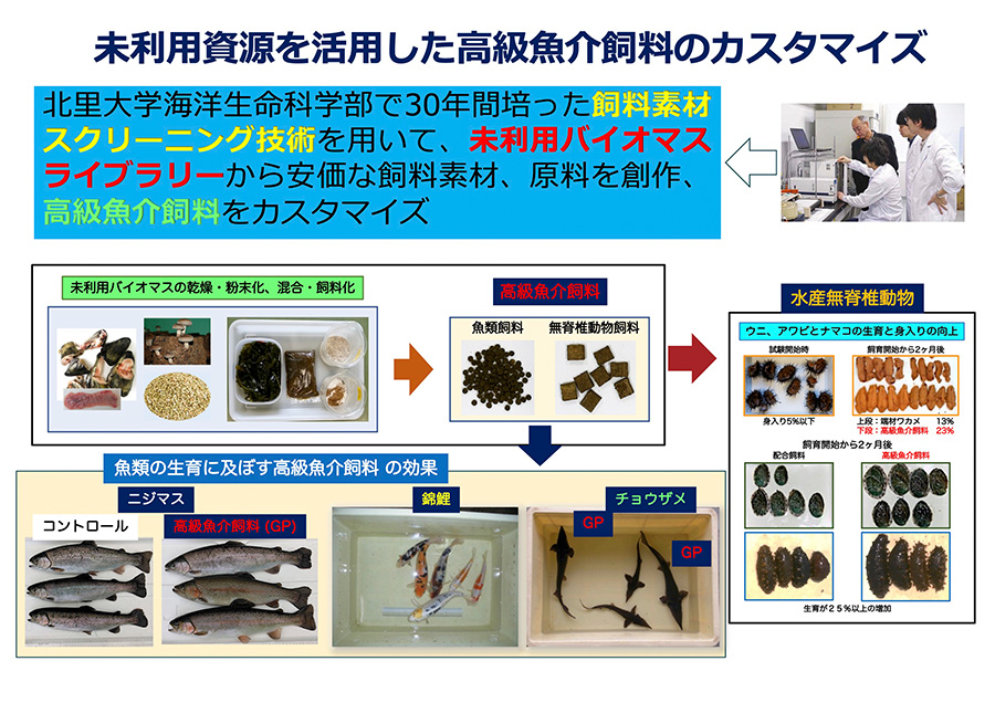 Customization of high-grade fish feed using unutilized resources