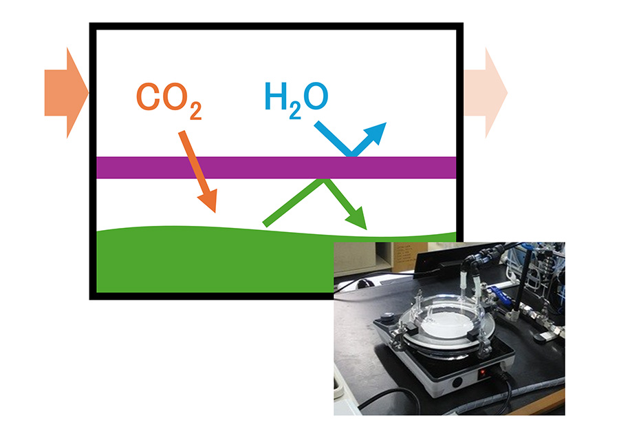 Ultra energy-efficient carbon dioxide fixation from air and exhaust gases