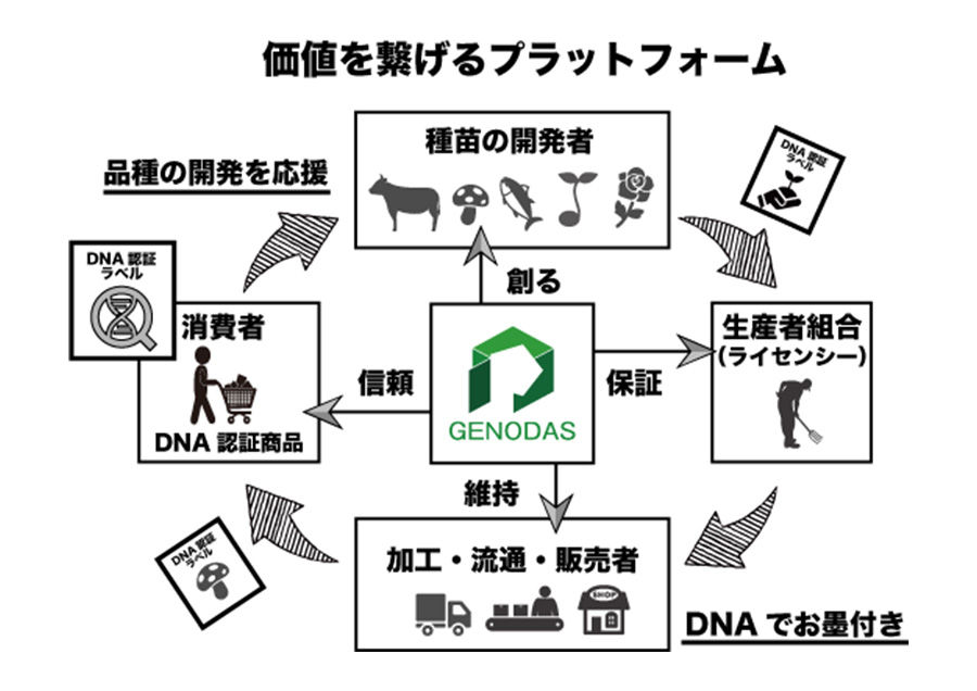 独自のDNA分析技術で農林水産業の未来の扉を開く！