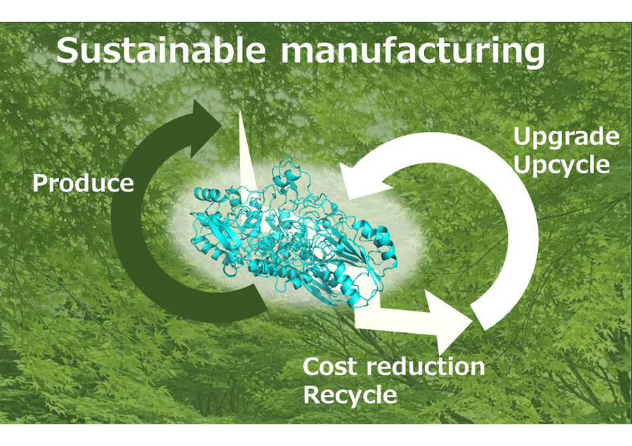 Rapid Functionalization of Industrial Enzymes by Innovative Theoretical Design Technology