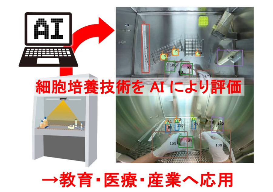 細胞培養技術のAI評価システムの開発