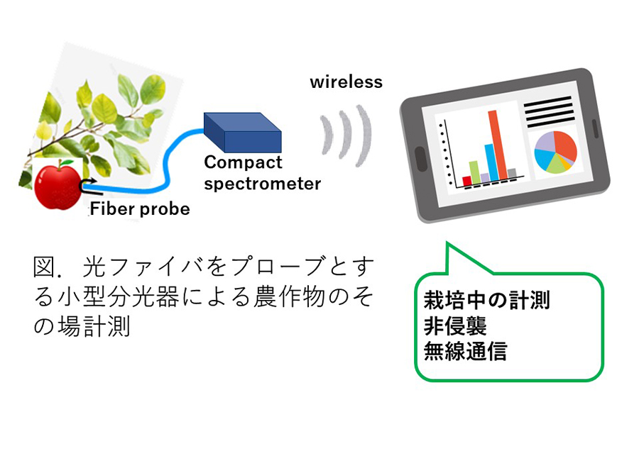 美味しいを作る栽培中農作物の非破壊成分計測器